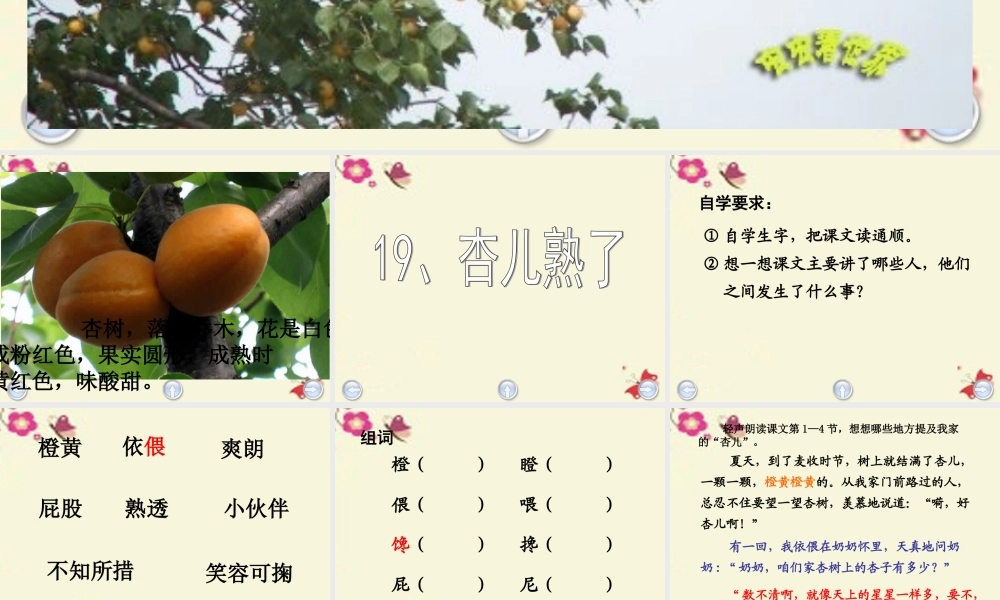 三年级语文下册 第4单元 19《杏儿熟了》课件2 沪教版-沪教版小学三年级下册语文课件