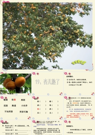 三年级语文下册 第4单元 19《杏儿熟了》课件2 沪教版-沪教版小学三年级下册语文课件