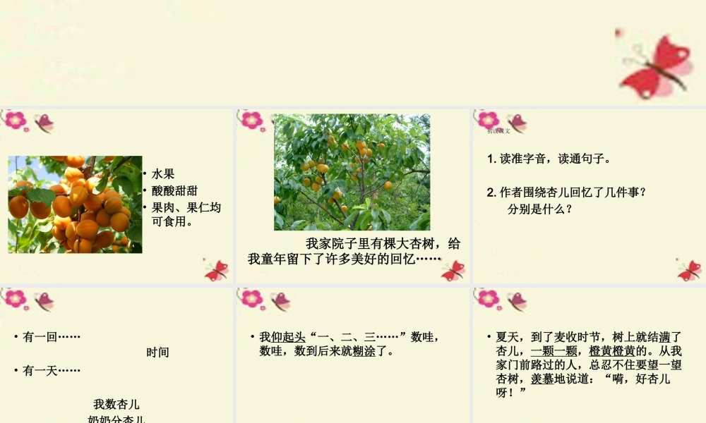 三年级语文下册 第4单元 19《杏儿熟了》课件3 沪教版-沪教版小学三年级下册语文课件