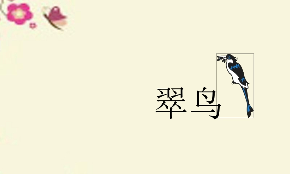 三年级语文下册 第2单元 5《翠鸟》课件12 语文S版-语文S版小学三年级下册语文课件