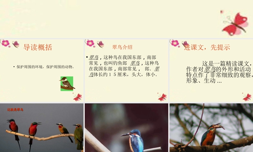 三年级语文下册 第2单元 5《翠鸟》课件12 语文S版-语文S版小学三年级下册语文课件