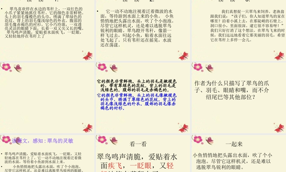 三年级语文下册 第2单元 5《翠鸟》课件12 语文S版-语文S版小学三年级下册语文课件