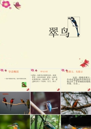 三年级语文下册 第2单元 5《翠鸟》课件12 语文S版-语文S版小学三年级下册语文课件