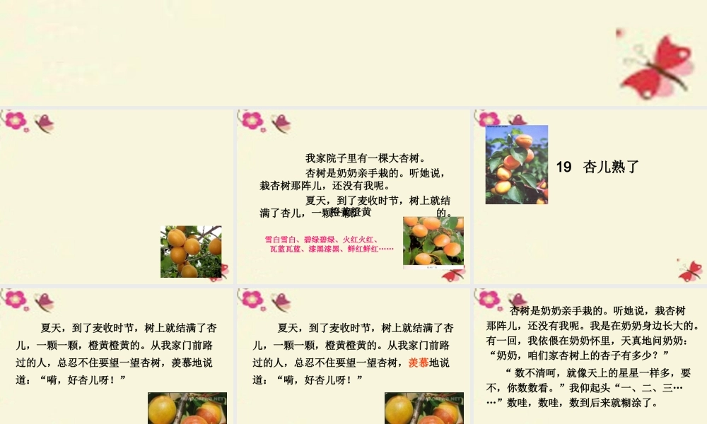 三年级语文下册 第4单元 19《杏儿熟了》课件4 沪教版-沪教版小学三年级下册语文课件