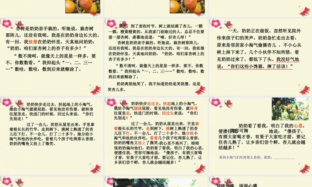 三年级语文下册 第4单元 19《杏儿熟了》课件4 沪教版-沪教版小学三年级下册语文课件