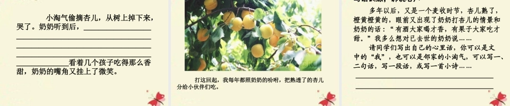 三年级语文下册 第4单元 19《杏儿熟了》课件4 沪教版-沪教版小学三年级下册语文课件