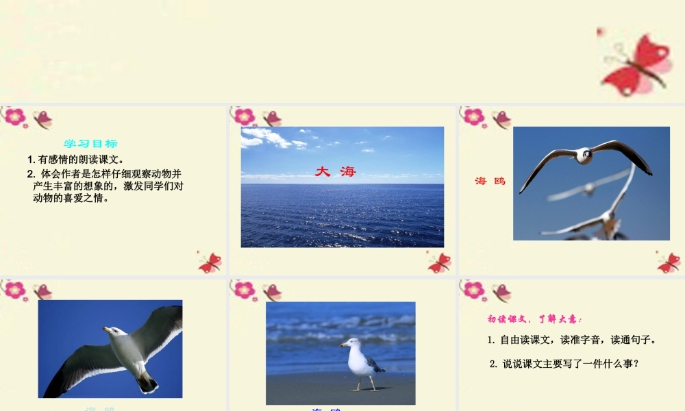 三年级语文下册 第2单元 6《飞吧，海鸥》课件1 语文S版-语文S版小学三年级下册语文课件