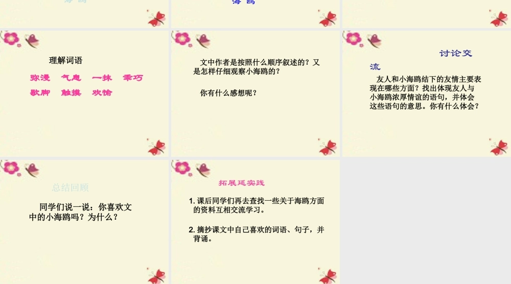 三年级语文下册 第2单元 6《飞吧，海鸥》课件1 语文S版-语文S版小学三年级下册语文课件