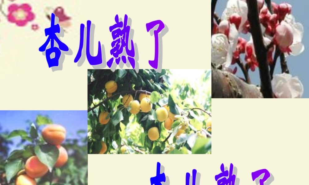 三年级语文下册 第4单元 19《杏儿熟了》课件5 沪教版-沪教版小学三年级下册语文课件