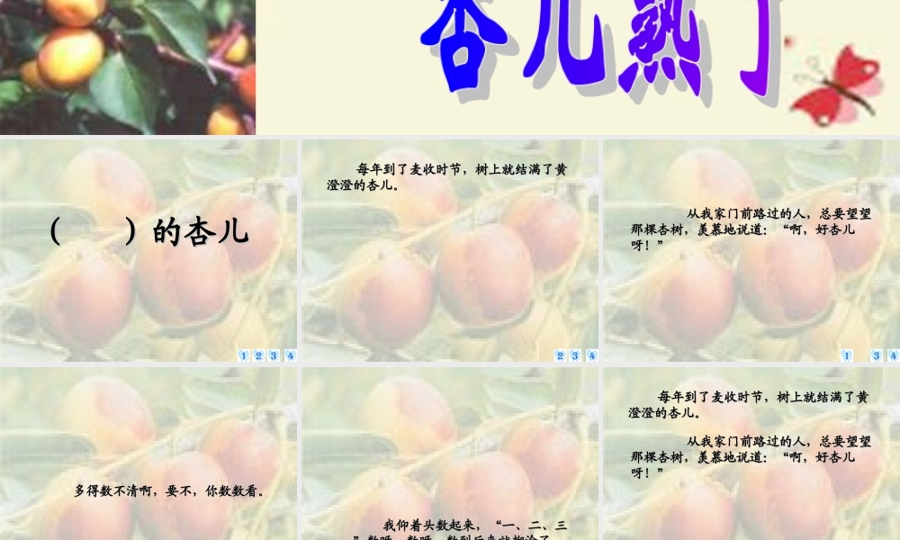 三年级语文下册 第4单元 19《杏儿熟了》课件5 沪教版-沪教版小学三年级下册语文课件