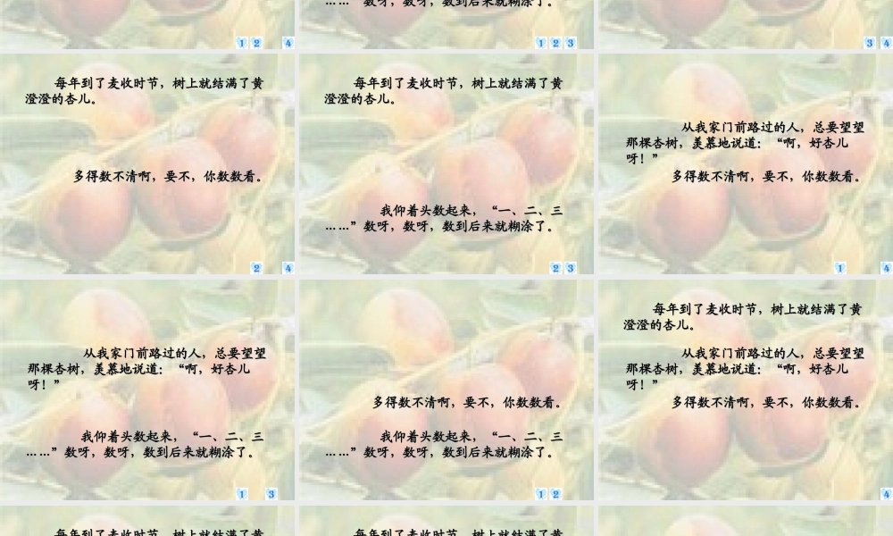三年级语文下册 第4单元 19《杏儿熟了》课件5 沪教版-沪教版小学三年级下册语文课件