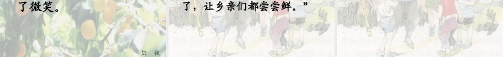 三年级语文下册 第4单元 19《杏儿熟了》课件5 沪教版-沪教版小学三年级下册语文课件