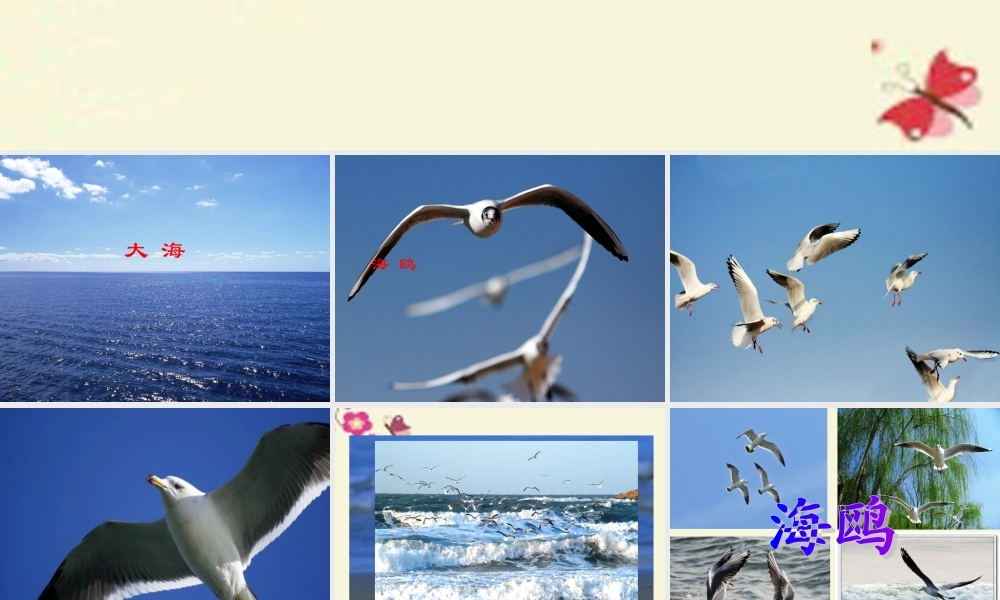 三年级语文下册 第2单元 6《飞吧，海鸥》课件2 语文S版-语文S版小学三年级下册语文课件