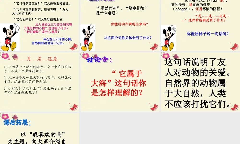 三年级语文下册 第2单元 6《飞吧，海鸥》课件2 语文S版-语文S版小学三年级下册语文课件