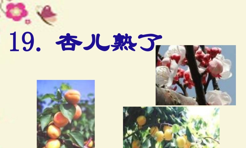 三年级语文下册 第4单元 19《杏儿熟了》课件6 沪教版-沪教版小学三年级下册语文课件
