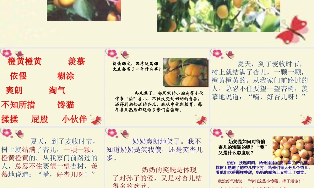 三年级语文下册 第4单元 19《杏儿熟了》课件6 沪教版-沪教版小学三年级下册语文课件