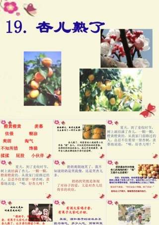 三年级语文下册 第4单元 19《杏儿熟了》课件6 沪教版-沪教版小学三年级下册语文课件