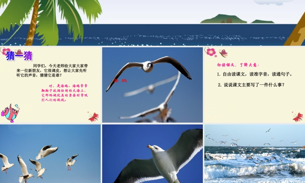 三年级语文下册 第2单元 6《飞吧，海鸥》课件3 语文S版-语文S版小学三年级下册语文课件