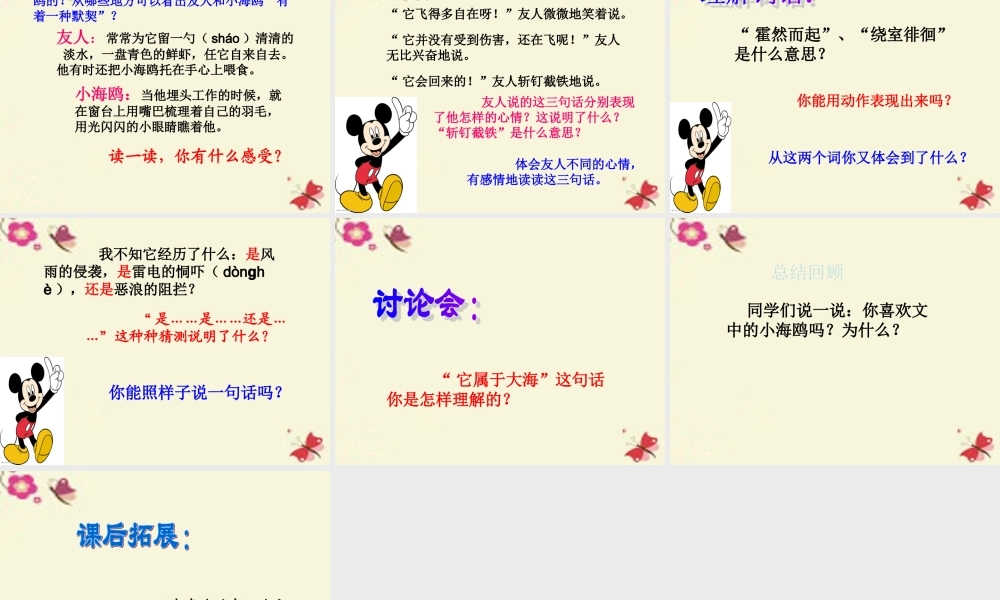 三年级语文下册 第2单元 6《飞吧，海鸥》课件3 语文S版-语文S版小学三年级下册语文课件