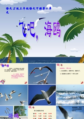 三年级语文下册 第2单元 6《飞吧，海鸥》课件3 语文S版-语文S版小学三年级下册语文课件