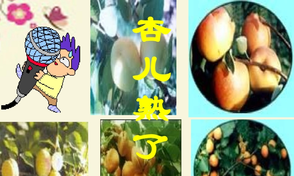 三年级语文下册 第4单元 19《杏儿熟了》课件7 沪教版-沪教版小学三年级下册语文课件