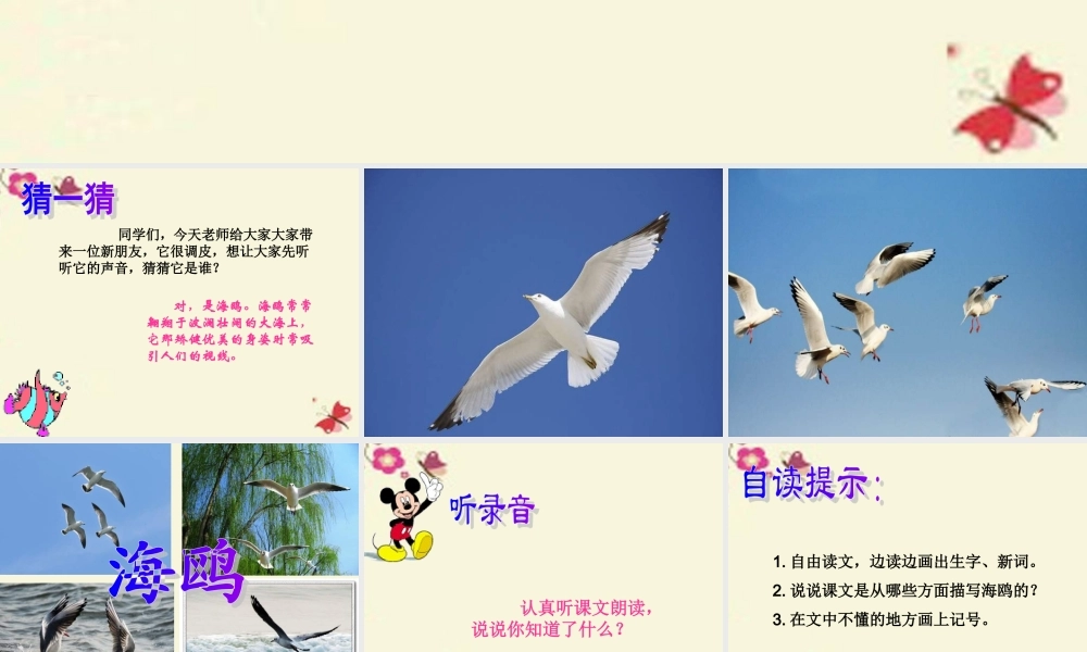 三年级语文下册 第2单元 6《飞吧，海鸥》课件4 语文S版-语文S版小学三年级下册语文课件