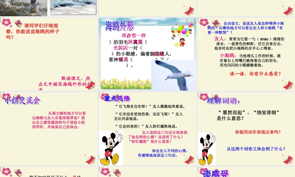 三年级语文下册 第2单元 6《飞吧，海鸥》课件4 语文S版-语文S版小学三年级下册语文课件