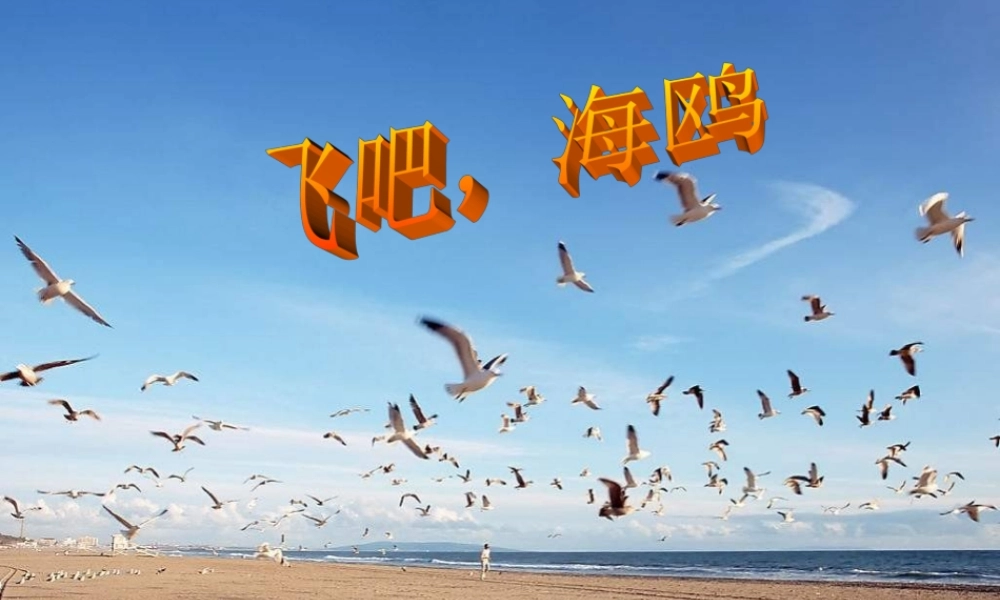 三年级语文下册 第2单元 6《飞吧，海鸥》课件5 语文S版-语文S版小学三年级下册语文课件