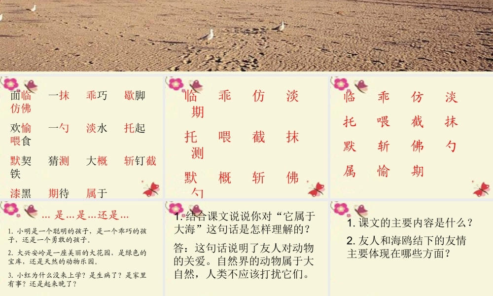 三年级语文下册 第2单元 6《飞吧，海鸥》课件5 语文S版-语文S版小学三年级下册语文课件