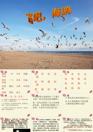 三年级语文下册 第2单元 6《飞吧，海鸥》课件5 语文S版-语文S版小学三年级下册语文课件