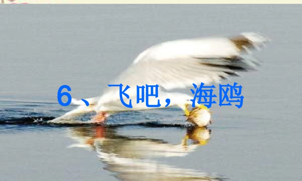 三年级语文下册 第2单元 6《飞吧，海鸥》课件6 语文S版-语文S版小学三年级下册语文课件