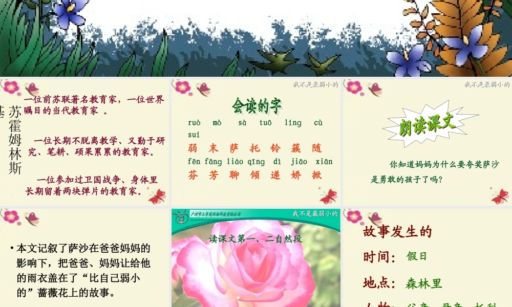 三年级语文下册 第2单元 10《妈妈，我不是最弱小的》课件3 沪教版-沪教版小学三年级下册语文课件