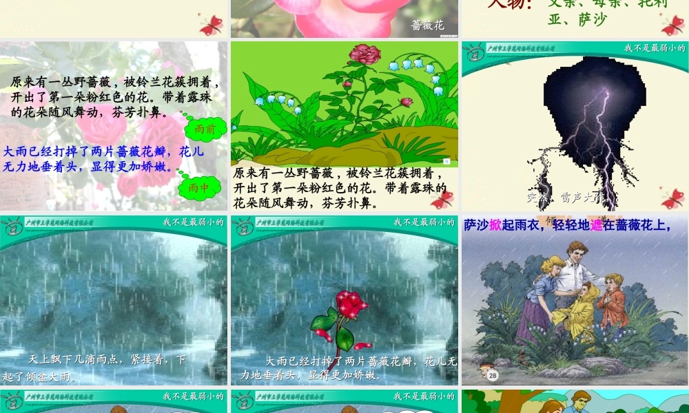三年级语文下册 第2单元 10《妈妈，我不是最弱小的》课件3 沪教版-沪教版小学三年级下册语文课件