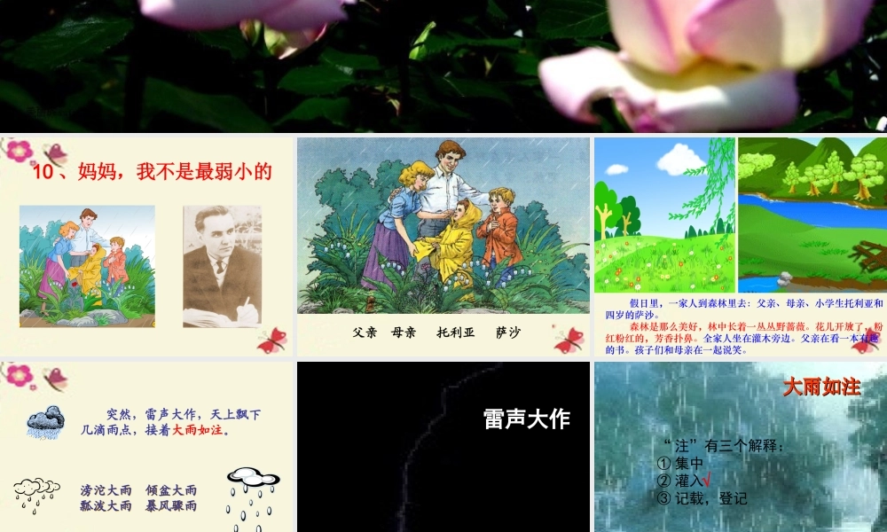 三年级语文下册 第2单元 10《妈妈，我不是最弱小的》课件4 沪教版-沪教版小学三年级下册语文课件