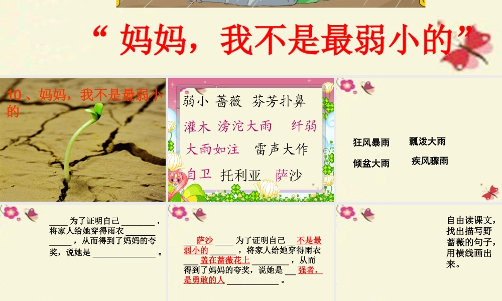 三年级语文下册 第2单元 10《妈妈，我不是最弱小的》课件5 沪教版-沪教版小学三年级下册语文课件