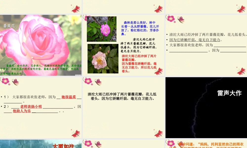 三年级语文下册 第2单元 10《妈妈，我不是最弱小的》课件5 沪教版-沪教版小学三年级下册语文课件