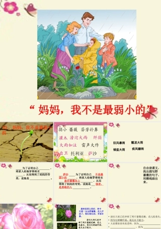 三年级语文下册 第2单元 10《妈妈，我不是最弱小的》课件5 沪教版-沪教版小学三年级下册语文课件