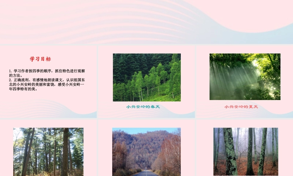三年级语文下册 第12课《美丽的小兴安岭》课件 西师大版-西师大版小学三年级下册语文课件