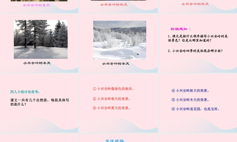 三年级语文下册 第12课《美丽的小兴安岭》课件 西师大版-西师大版小学三年级下册语文课件