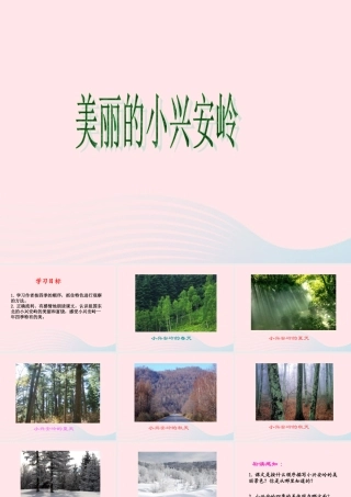 三年级语文下册 第12课《美丽的小兴安岭》课件 西师大版-西师大版小学三年级下册语文课件