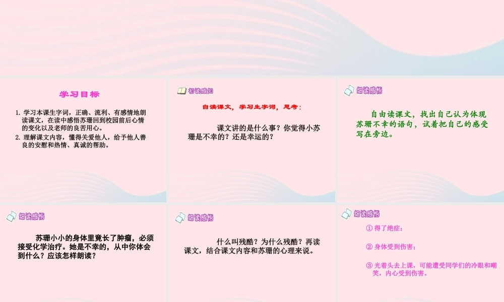 三年级语文下册 第24课《苏珊的帽子》课件 西师大版-西师大版小学三年级下册语文课件