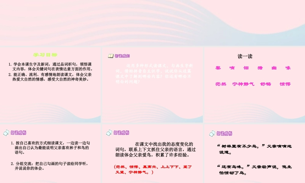 三年级语文下册 第27课《父亲树林和鸟》课件 西师大版-西师大版小学三年级下册语文课件