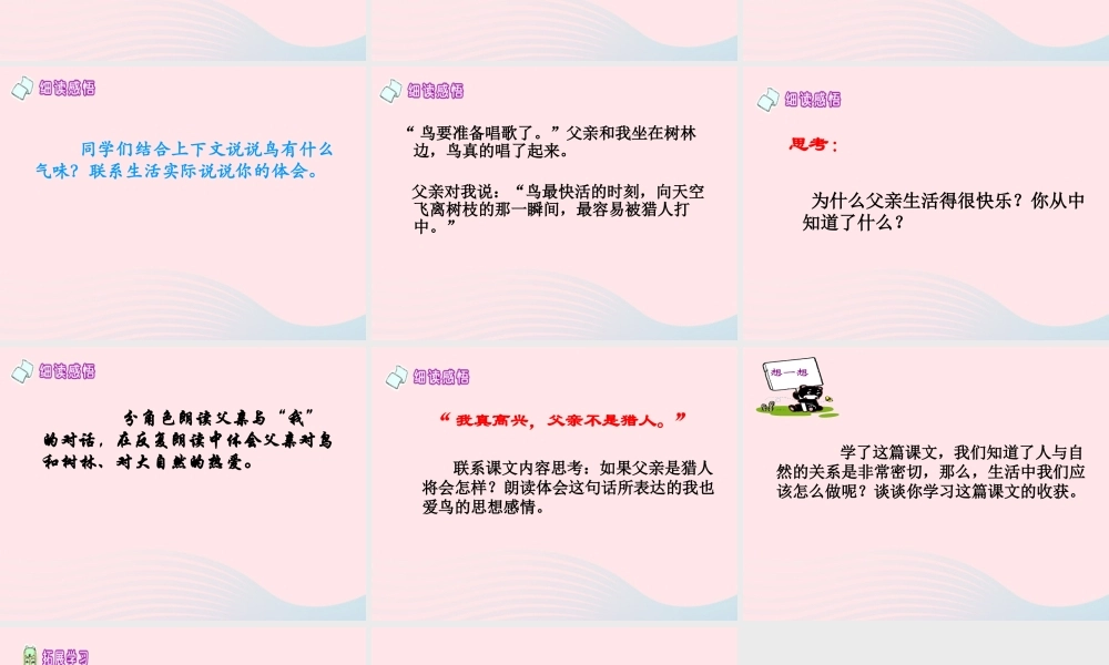 三年级语文下册 第27课《父亲树林和鸟》课件 西师大版-西师大版小学三年级下册语文课件