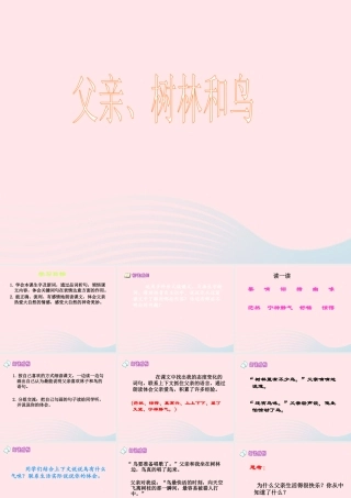 三年级语文下册 第27课《父亲树林和鸟》课件 西师大版-西师大版小学三年级下册语文课件