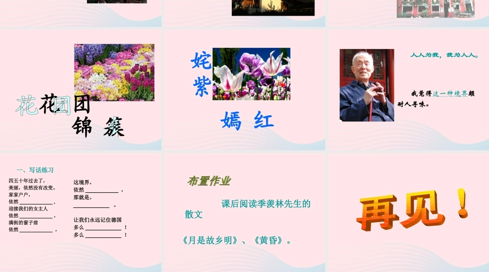 三年级语文下册 第28课《花是种给别人看的》课件 西师大版-西师大版小学三年级下册语文课件