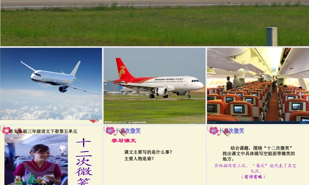 三年级语文下册 第5单元 19《十二次微笑》课件3 语文S版-语文S版小学三年级下册语文课件