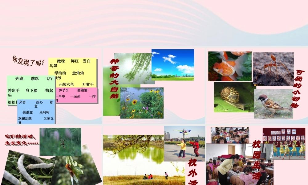 三年级语文下册 习作3课件 苏教版-苏教版小学三年级下册语文课件