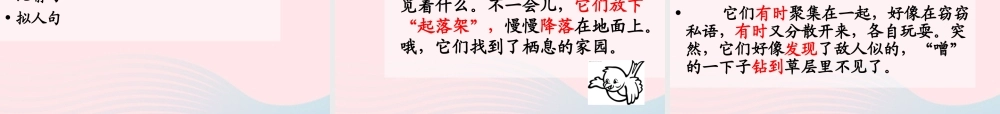 三年级语文下册 习作3课件 苏教版-苏教版小学三年级下册语文课件