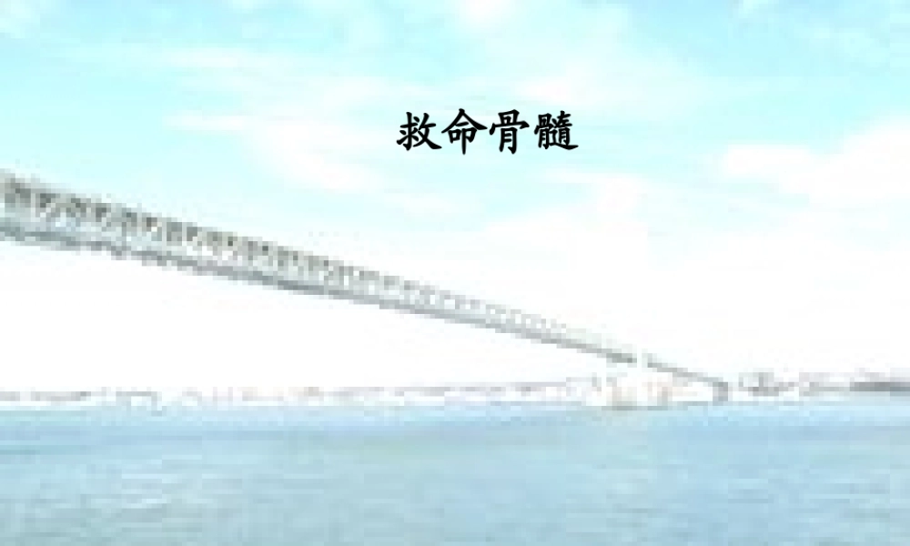 三年级语文下册 第5单元 20《救命骨髓》课件1 语文S版-语文S版小学三年级下册语文课件