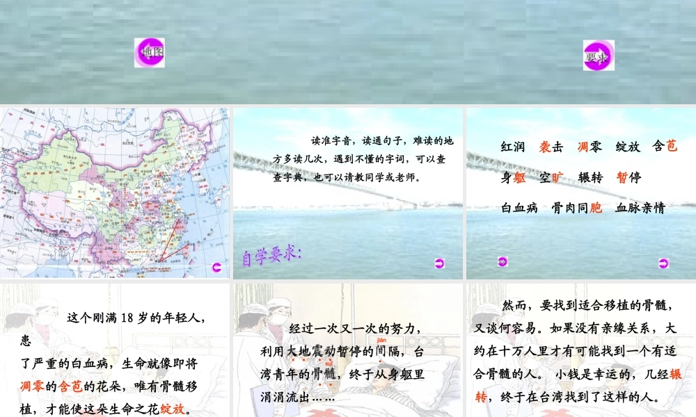 三年级语文下册 第5单元 20《救命骨髓》课件1 语文S版-语文S版小学三年级下册语文课件